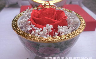 云南菲雅保鲜花 手工工艺品 纪念品 收藏品直销价格 厂家 图片